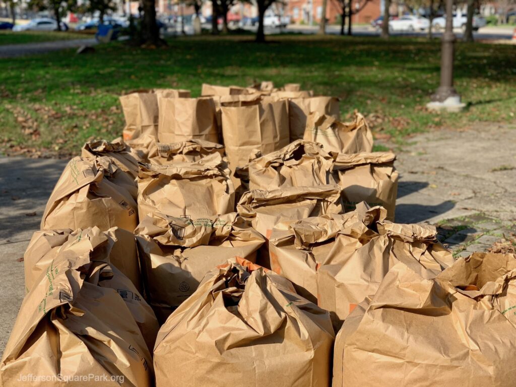 Fall Cleanup 2020