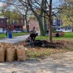 Fall Cleanup 2020
