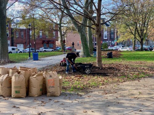Fall Cleanup 2020