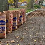 Fall Cleanup 2020